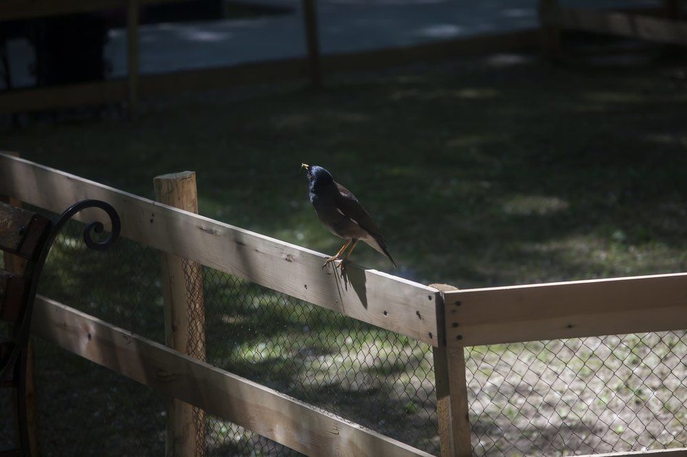 Photograph by Mary Petrova