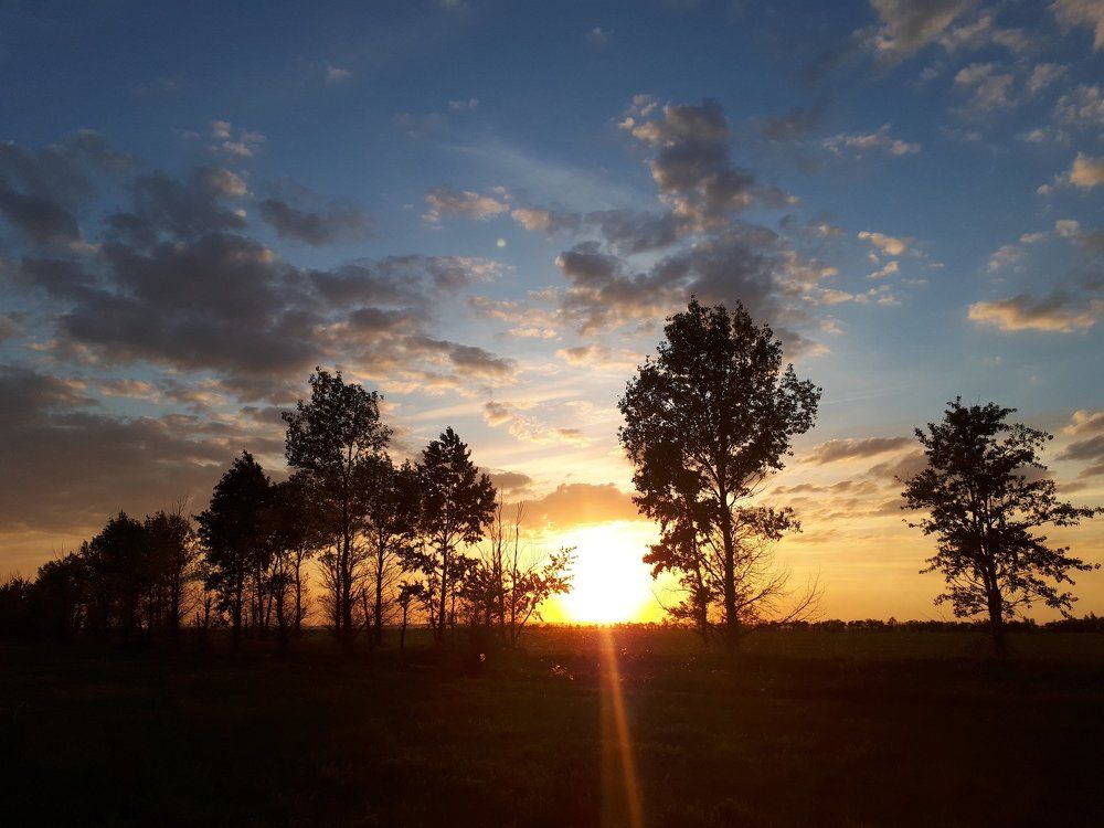 Сельская местность