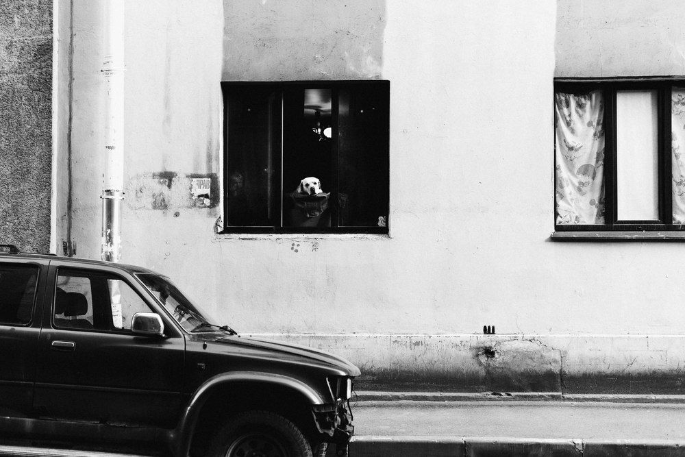 Вечерняя грусть