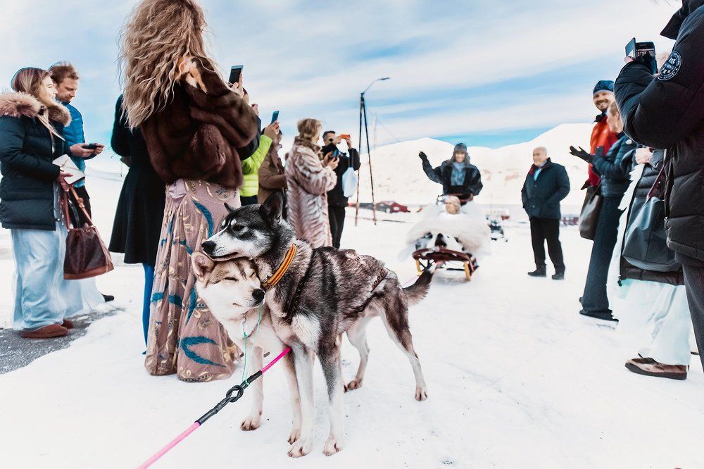 любовь в Арктике