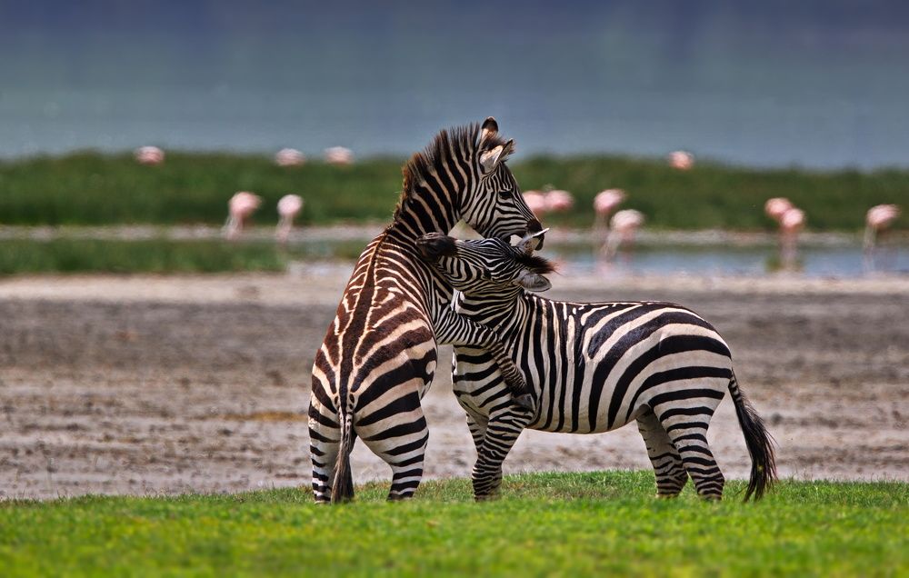 По секрету о любви