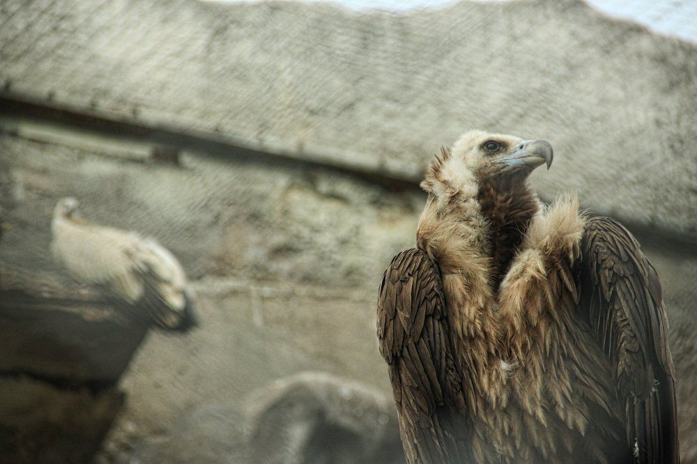 Photograph by Логинова Юлия