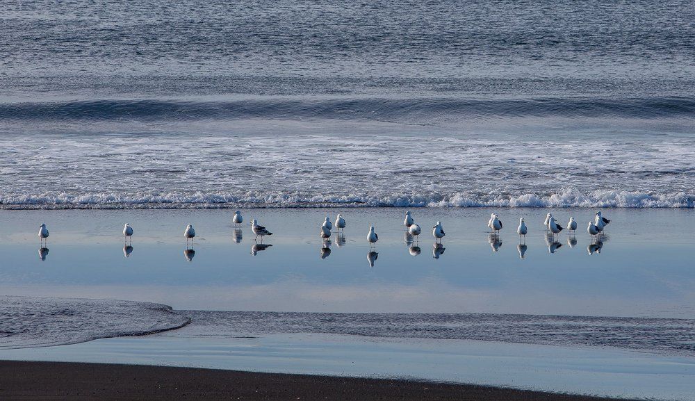 Берег Тихого океана