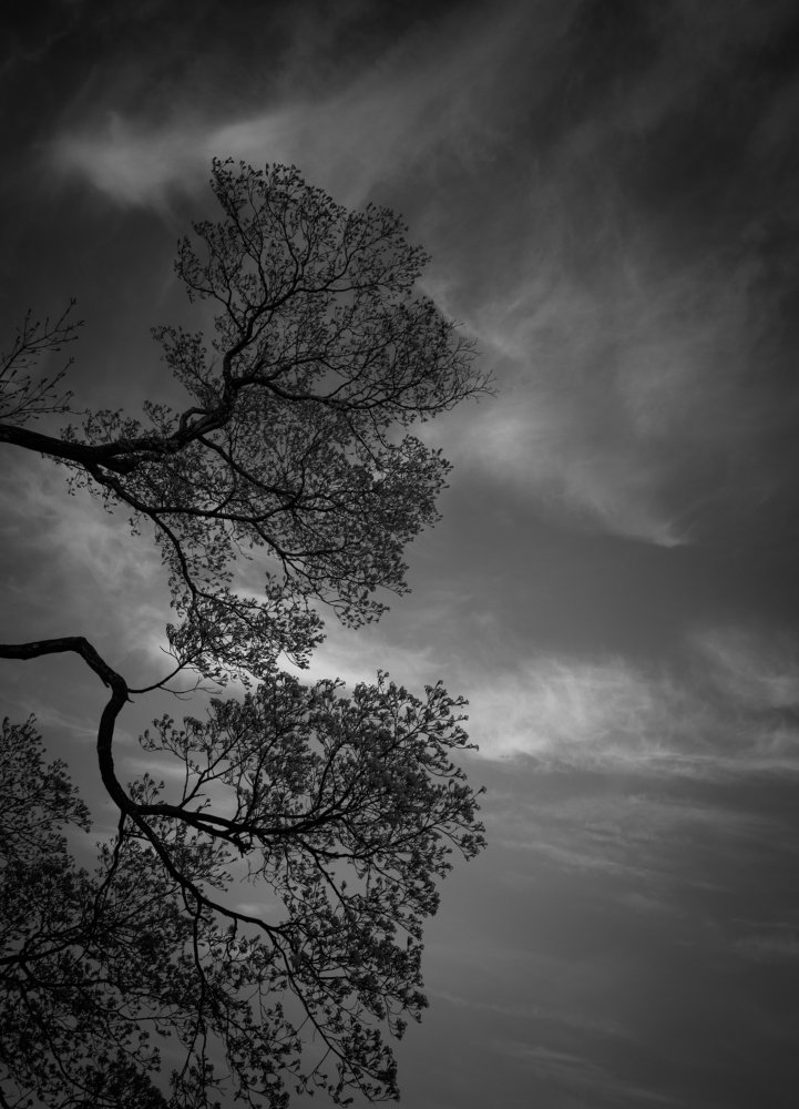 Над бездной