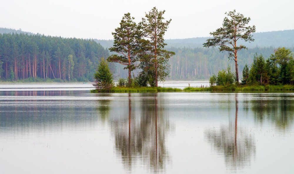 "Утро на озере."