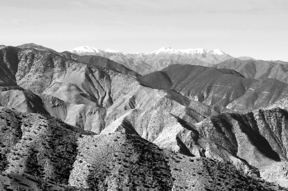 Линии природы