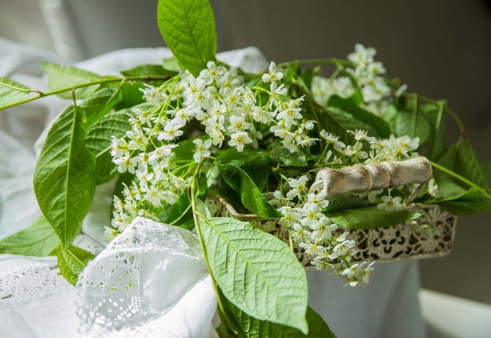 Photograph by Александра Шайдурова