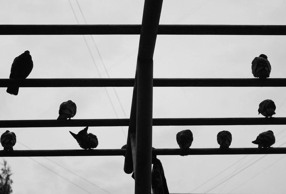 "Репетиция оркестра"