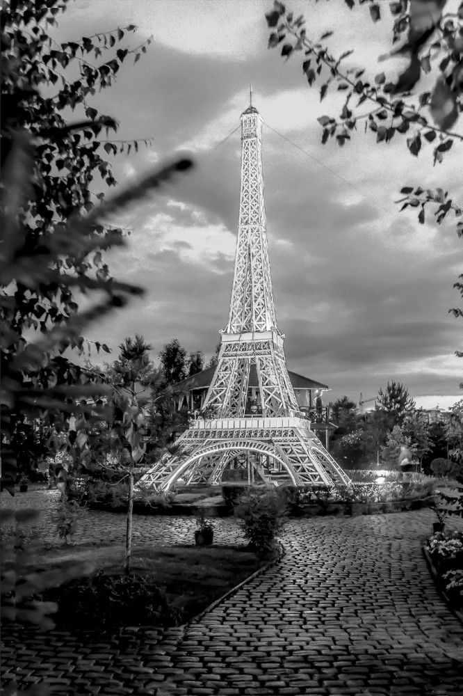 Вечер в Топиарном парке