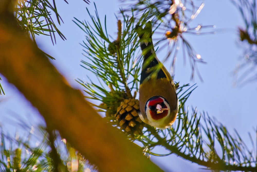 Photograph by Ковалёв Виталий