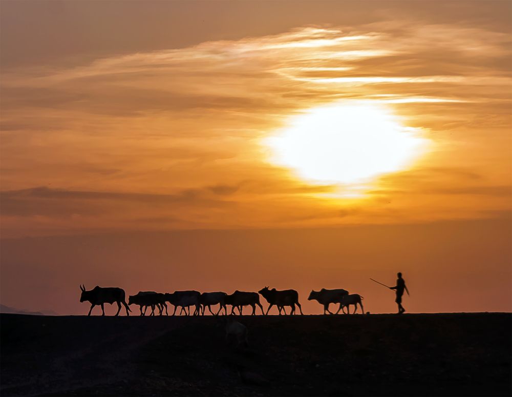 Farmer returning home