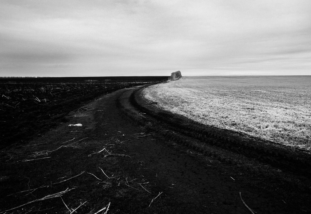 Кофе с молоком