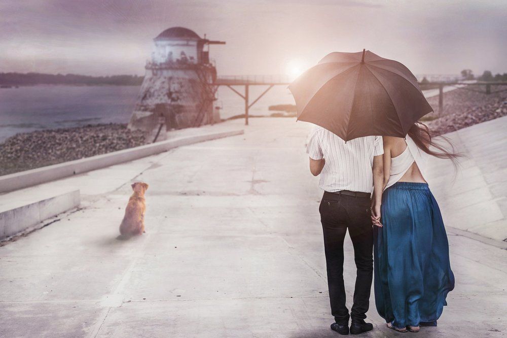 Маяк судьбы