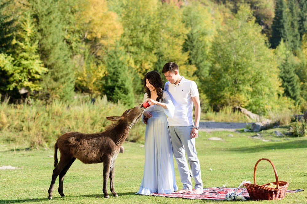 Когда осел не портит кадр...