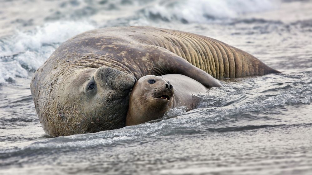 Твои волосы пахнут дождём...