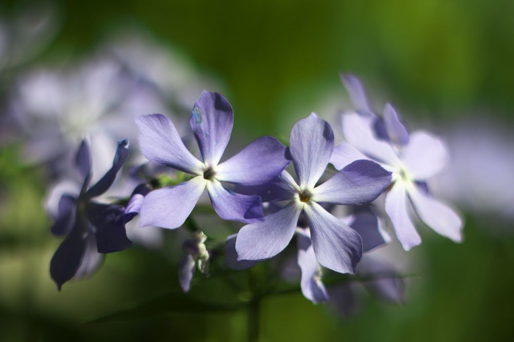 Photograph by Евгений Лобойко