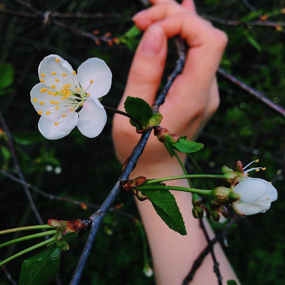 Photograph by Анастасия Козлова