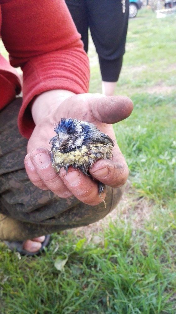 И все равно живу счастлива !