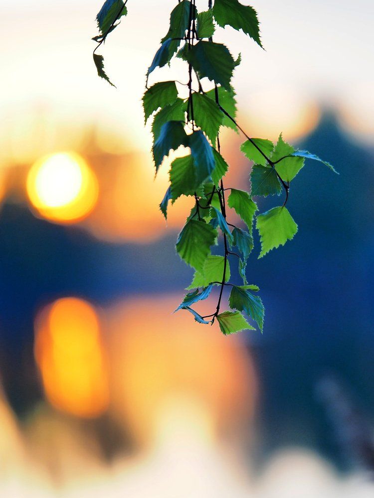 Photograph by Мирон Петаев