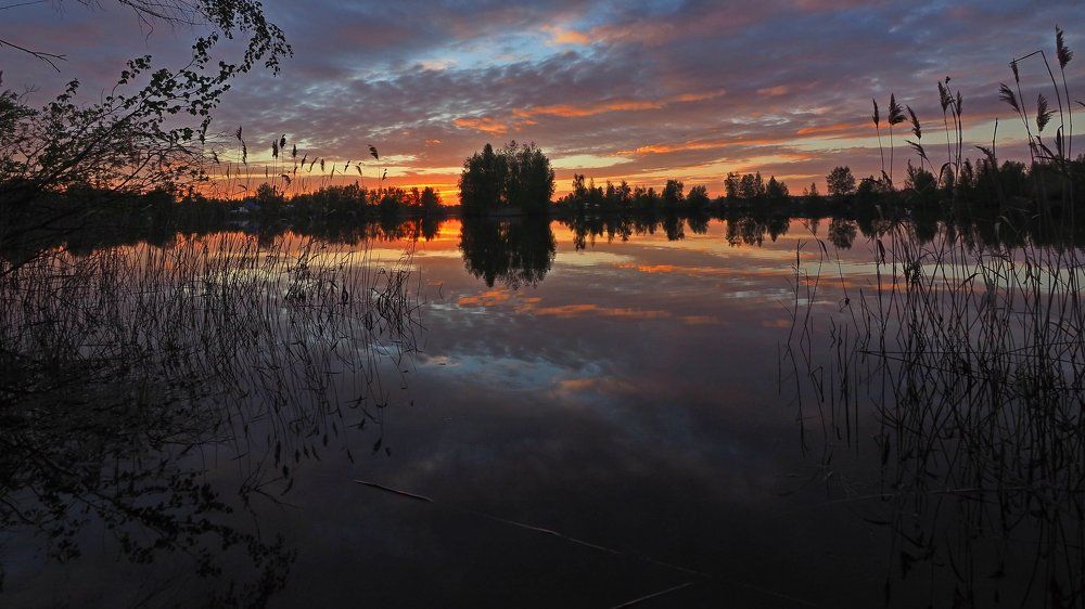 Photograph by Мирон Петаев