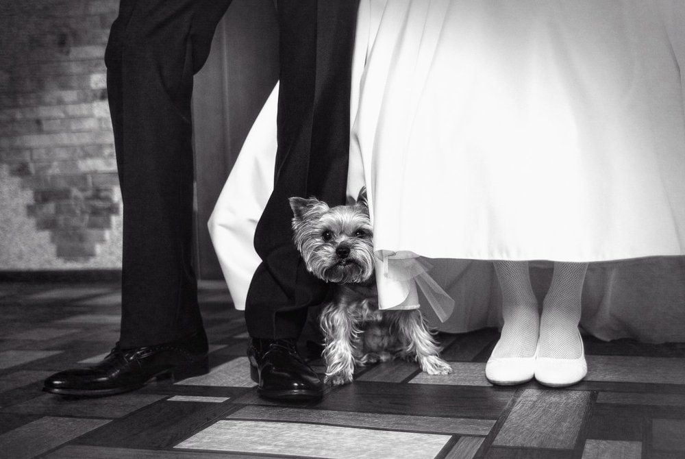 Третий не лишний...