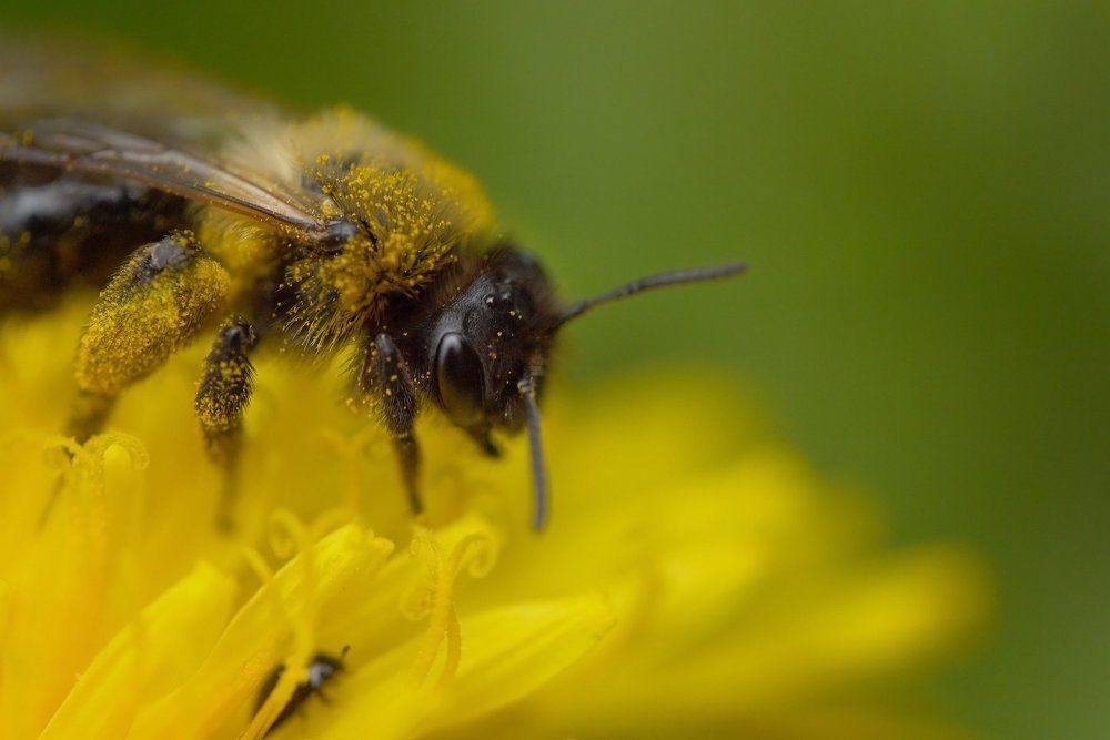 Photograph by Тим Талер