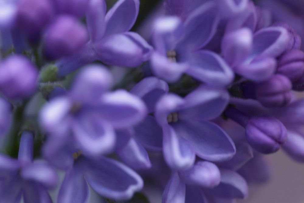 Photograph by Тим Талер