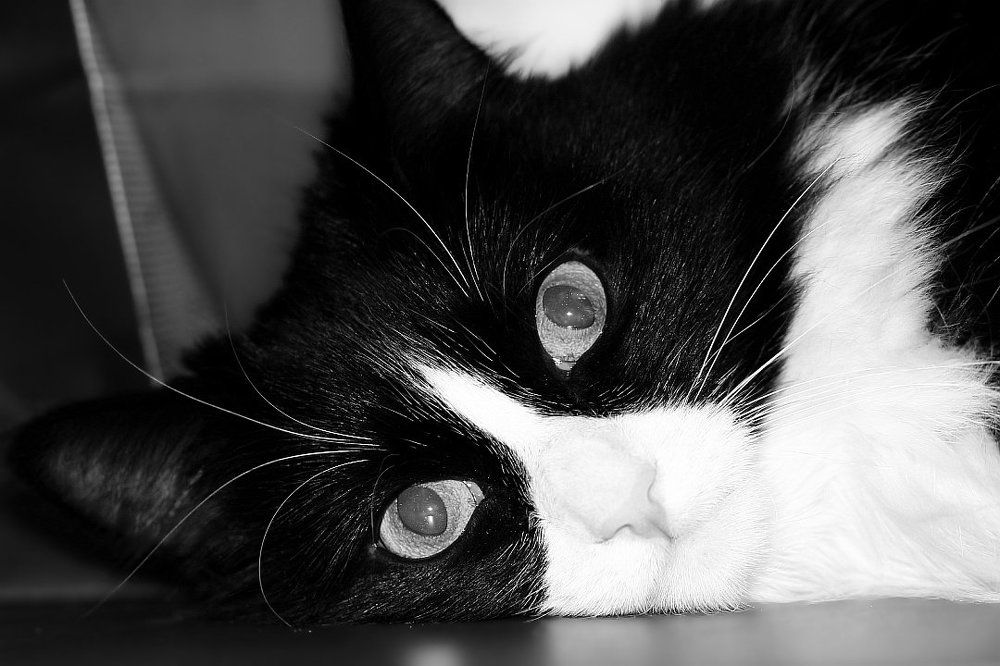 Есть капелька времени помечтать...