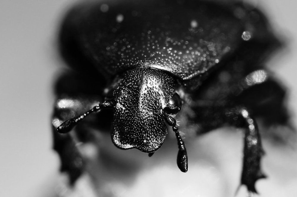 Не зли меня, фотограф...