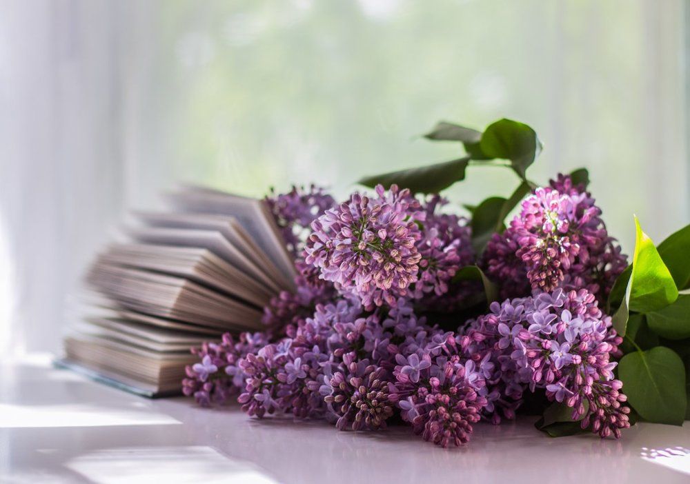 ...сиреневый май..