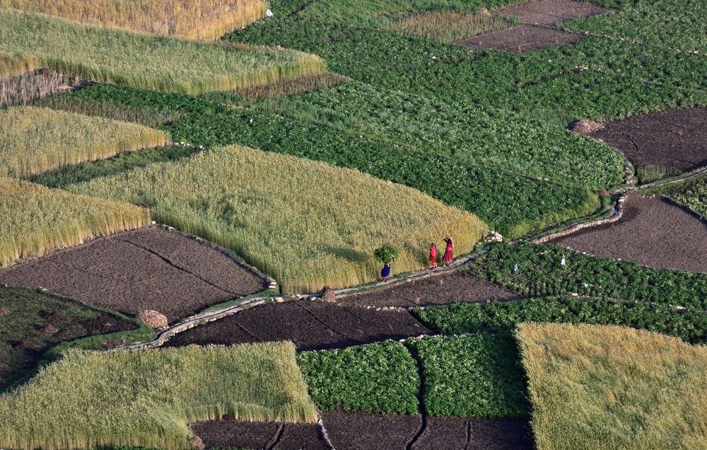 My Steps to My Nest !!