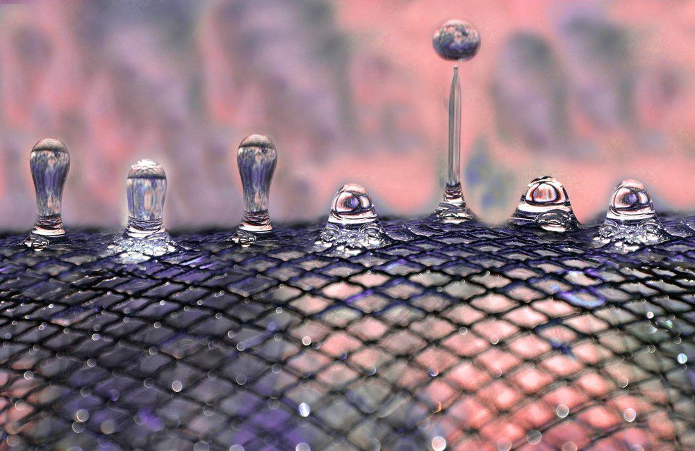 Носим воду в решете