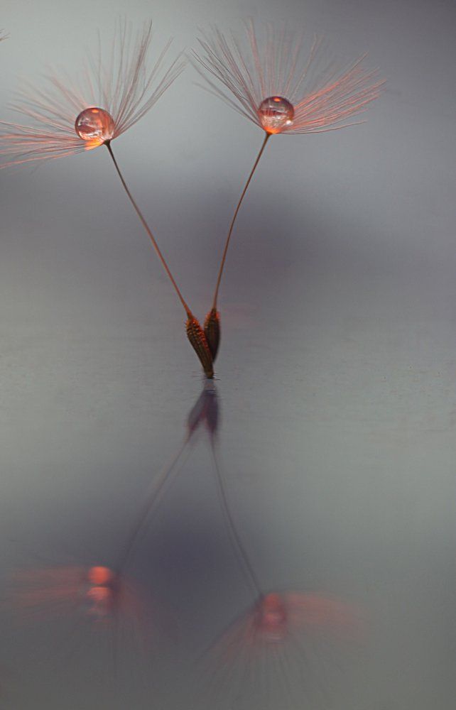 Photograph by Викулов Николай