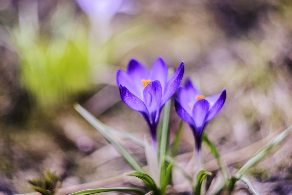 Photograph by Ксения Хлопова