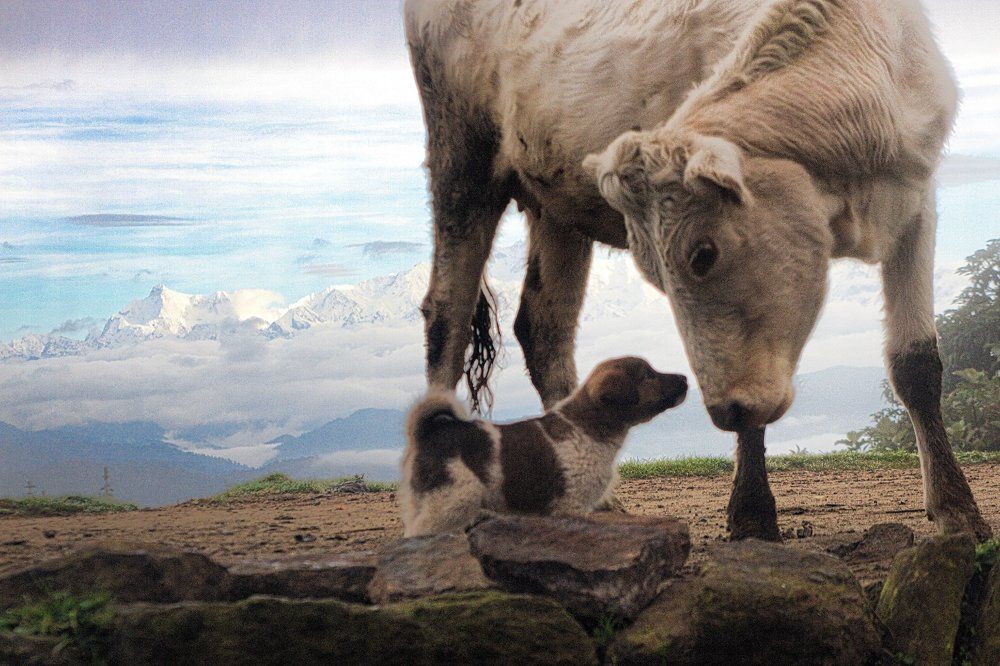 Hey ... R U my mom???