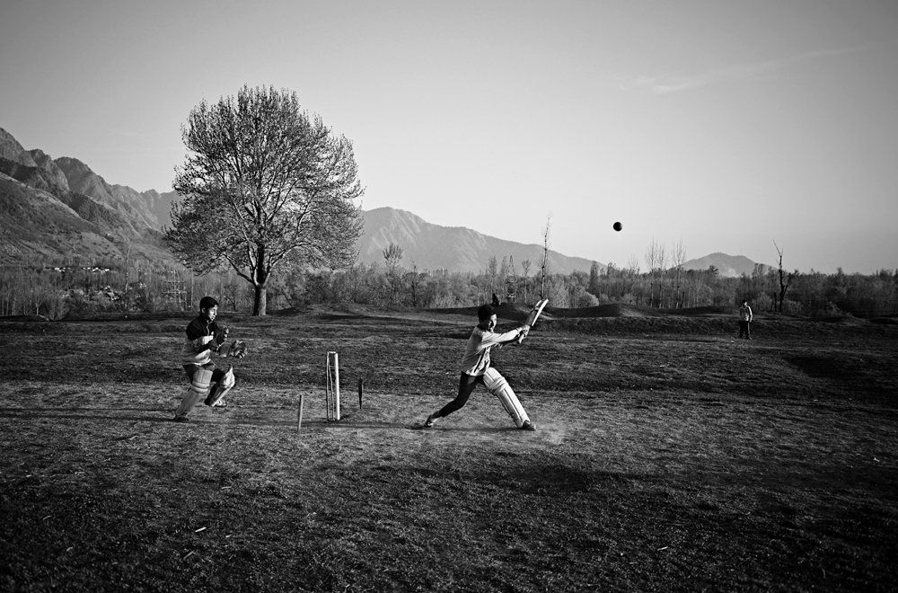 Cricket