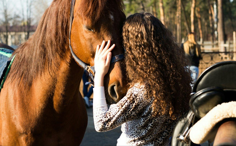 Лошадки тоже чувствуют.