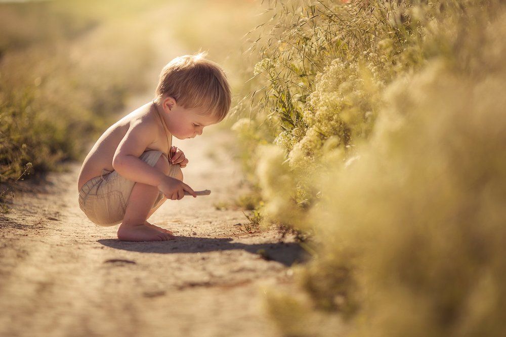 где живет муравей