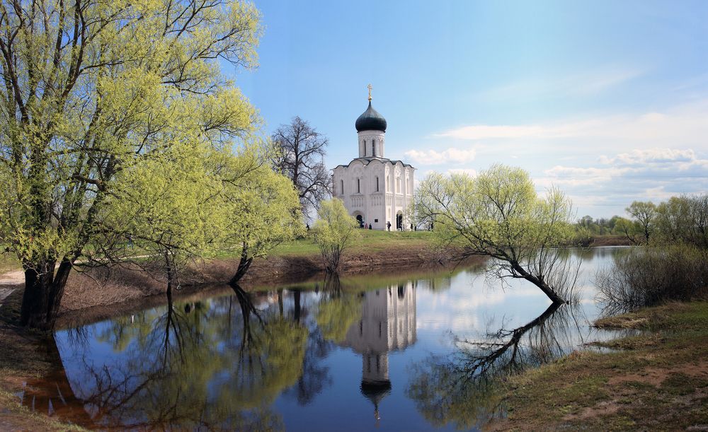 Храм Покрова на Нерли весной