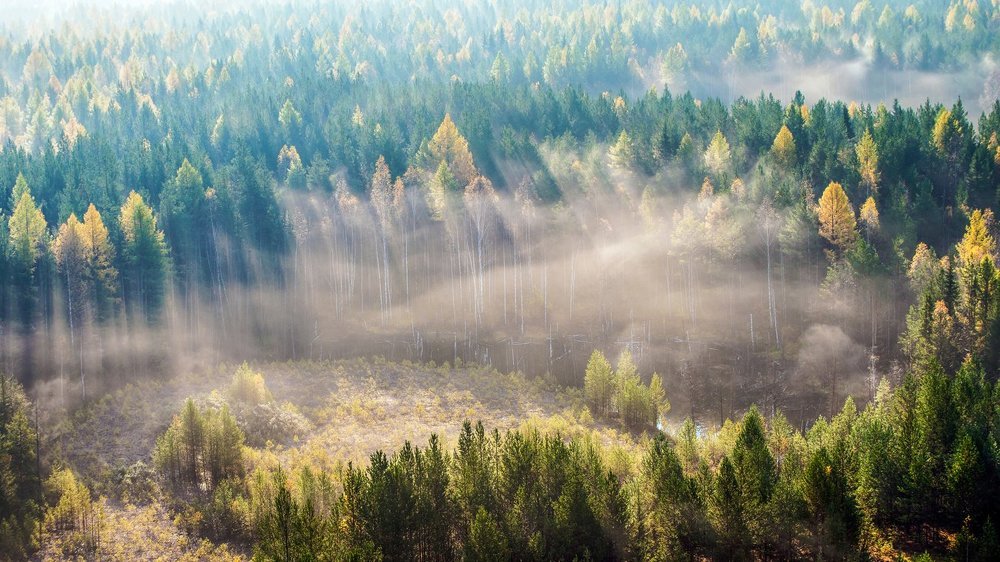 Photograph by Воинков Виктор