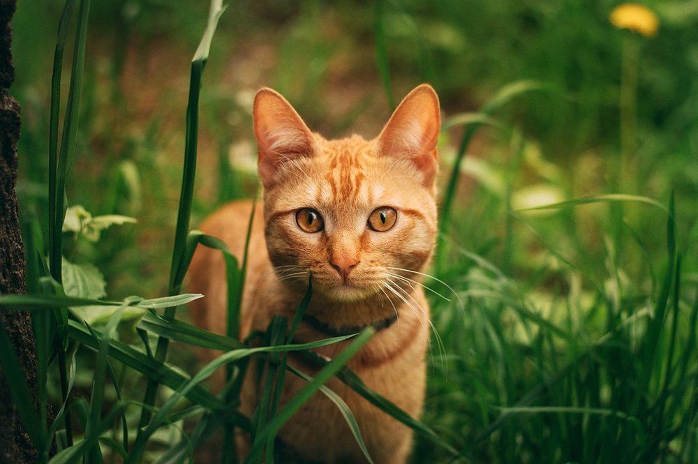 Photograph by Чернякова Анна