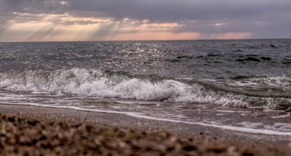 Перед штормом