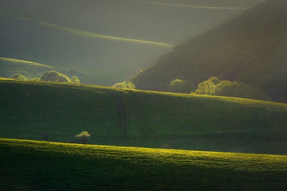 Солнечные холмы