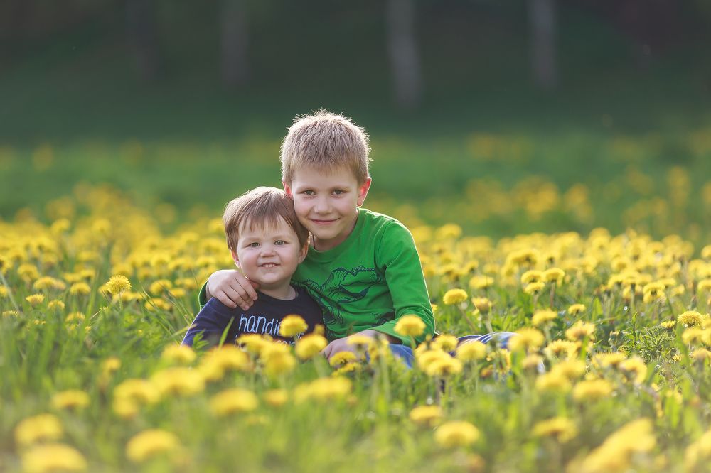 Солнечные зайчики