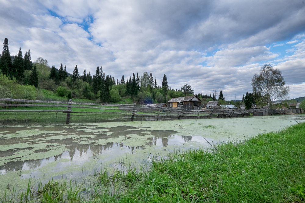 Деревенская безмятежность