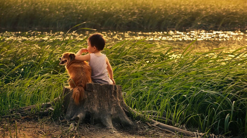 Glittering companions