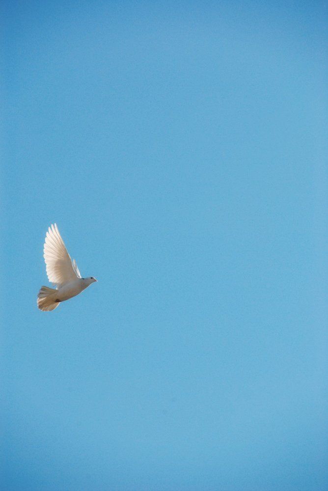 Photograph by Анастасия Хазова