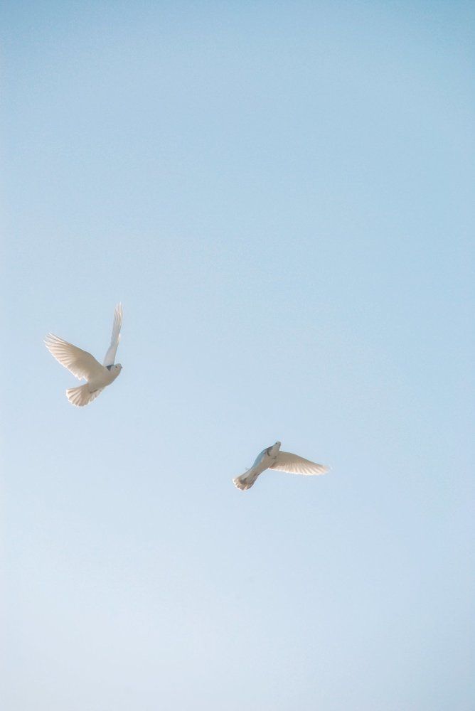 Photograph by Анастасия Хазова