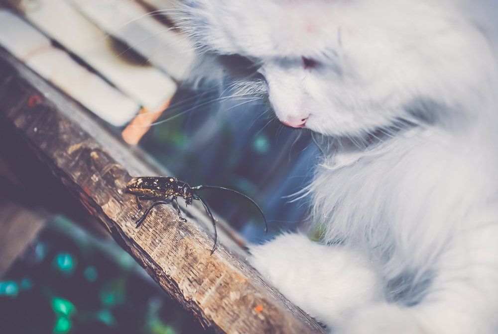 нежная любовь