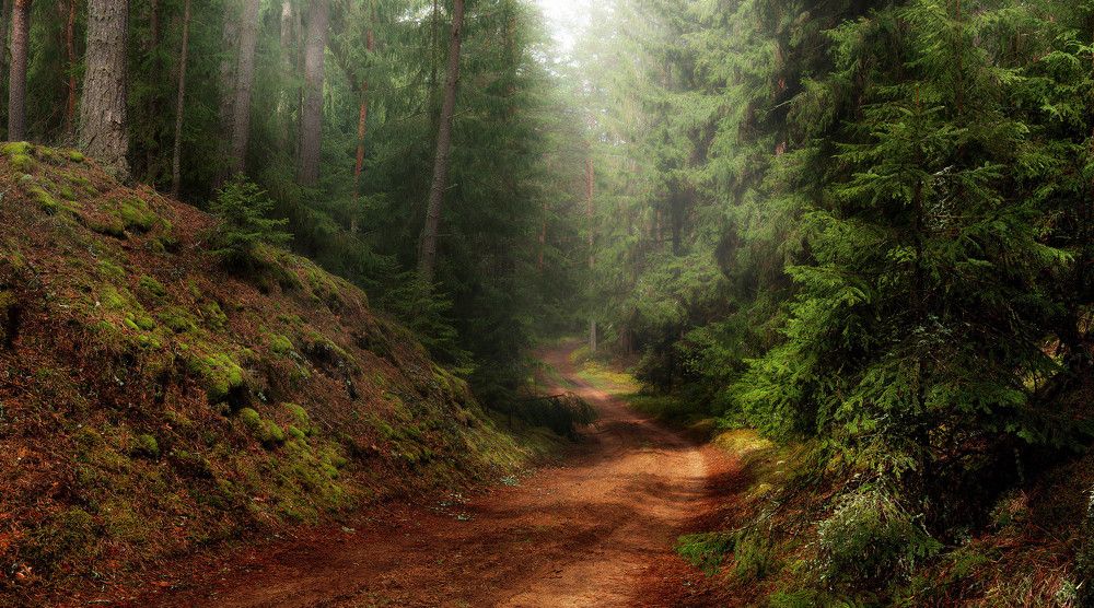 Туман и солнце